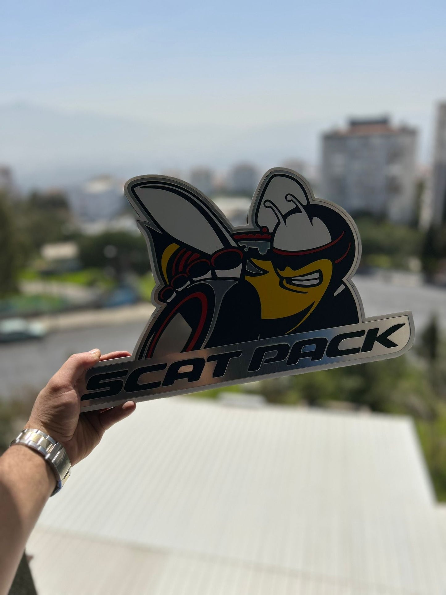 ScatPack Logo Wandschild für die Garage Deko Wandkunst