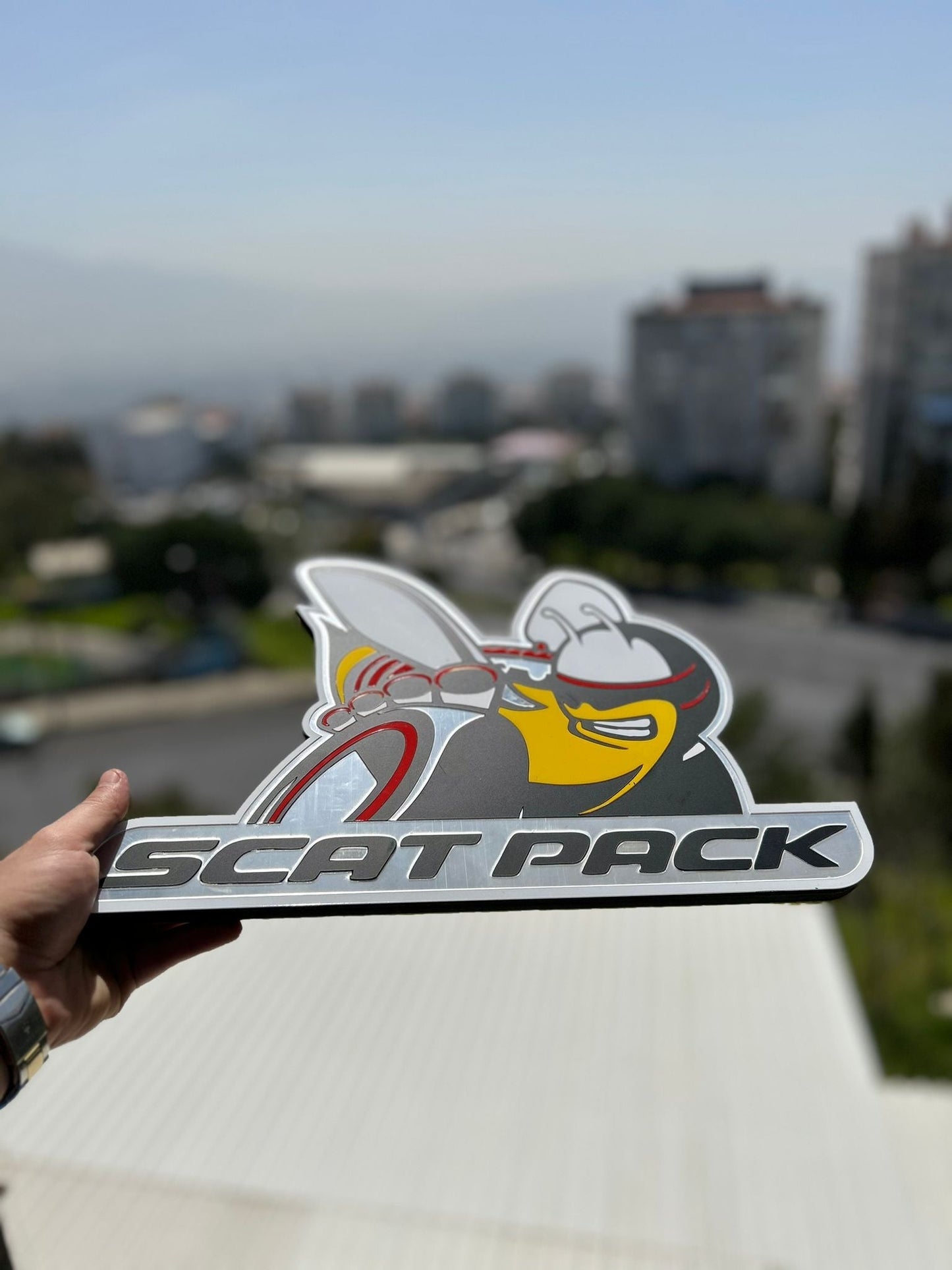 ScatPack Logo Wandschild für die Garage Deko Wandkunst